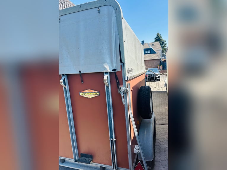 Remorque pour chevaux Böckmann conçue pour le transport de deux chevaux