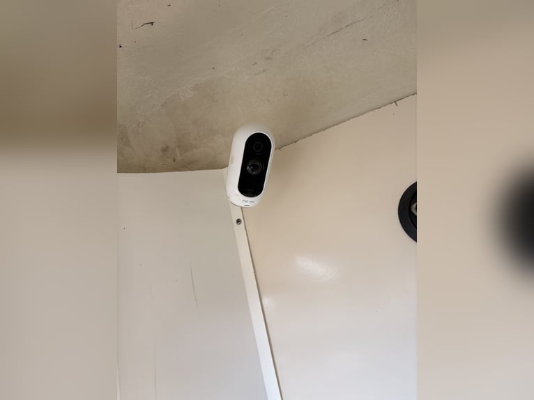 Caravane pour chevaux Equi-Trek Space-Treka L avec accès latéral
