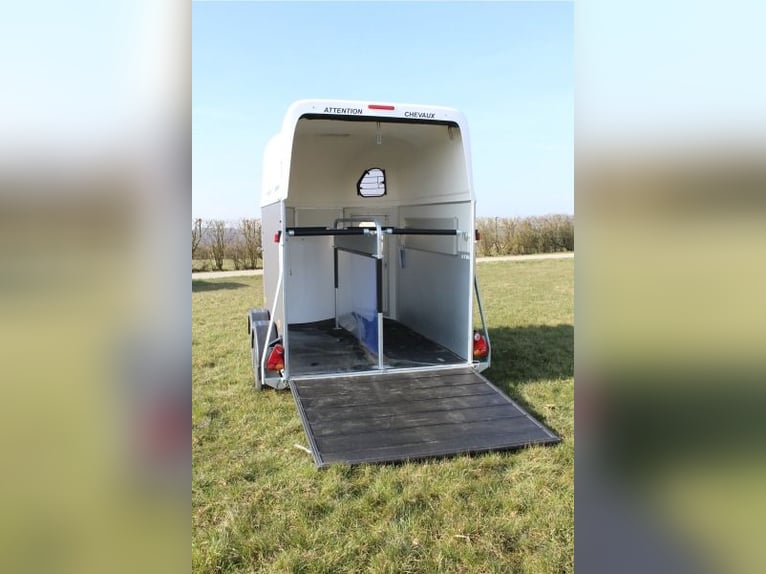 Cheval Liberté pour 2 chevaux