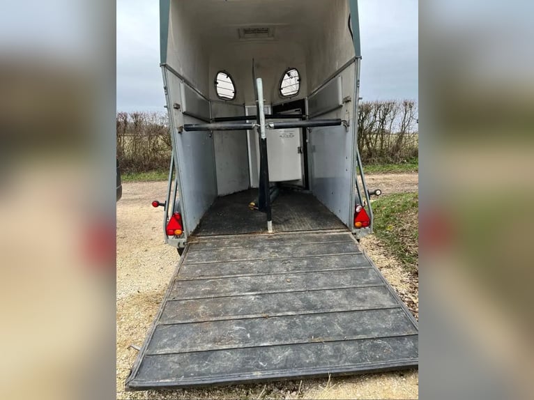 Cheval Liberté  vert 2002 L