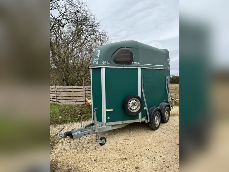 Cheval Liberté  vert 2002 L