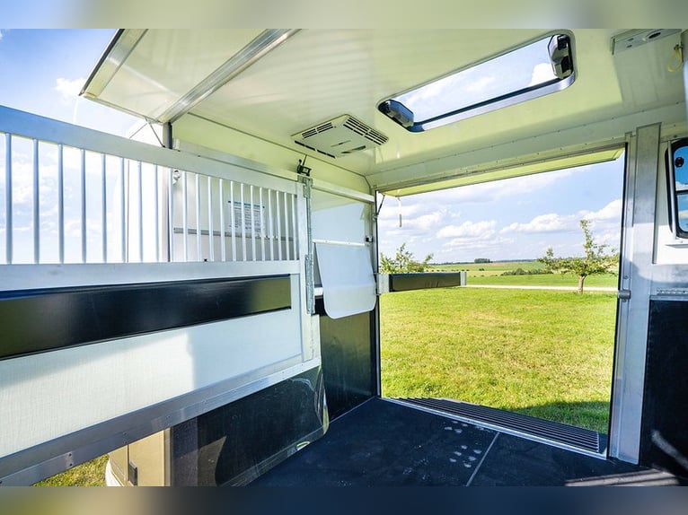 Remorque pour chevaux avec 2 rampes, climatisation dans la box, autonomie solaire, pour étalon, tran