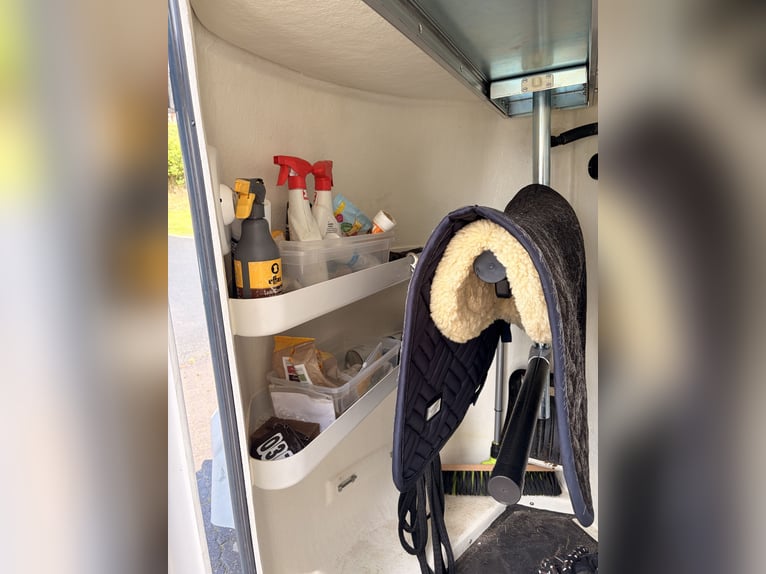 Remorque pour chevaux Bücker Careliner L gris avec caméra
