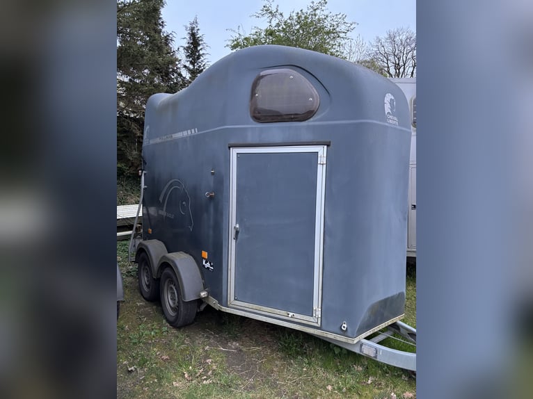 Cheval Liverte Gold avec selle SK et suspension Pullmann