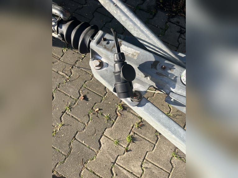 Humbaur Atis HP 2000 remorque pour chevaux – 2 places – Contrôle technique valide jusqu'en 2027 – No