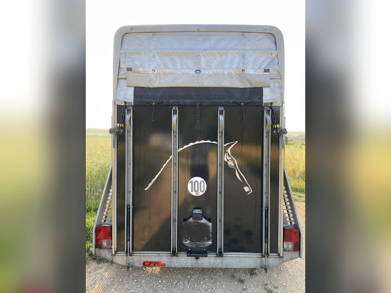 Pferdeanhänger Böckmann Comfort