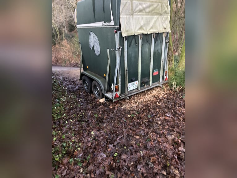 Remorque pour 2 chevaux