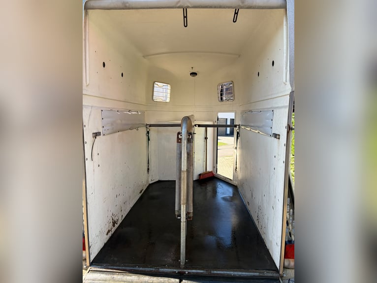 Remorque pour chevaux Böckmann Comfort B en polyester, capacité de 2 places | Sellerie | Barrière po
