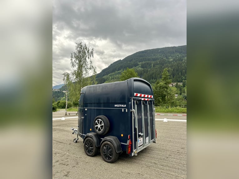 Remorque pour chevaux Westfalia Jupiter de premier choix – entièrement révisée, NOUVEAU plancher et