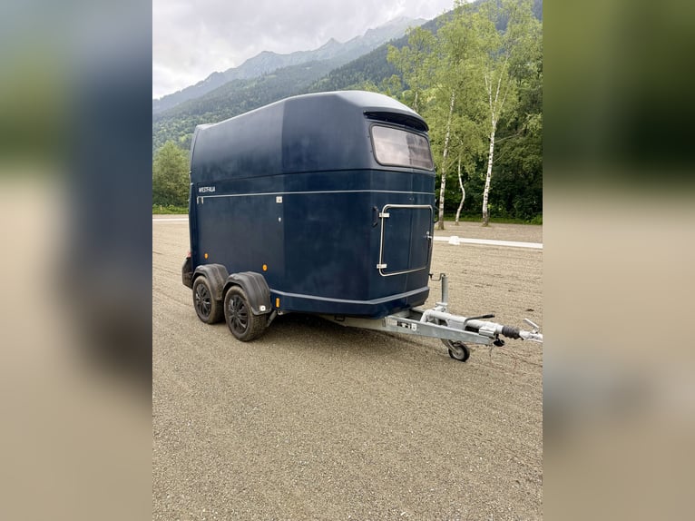 Remorque pour chevaux Westfalia Jupiter de premier choix – entièrement révisée, NOUVEAU plancher et
