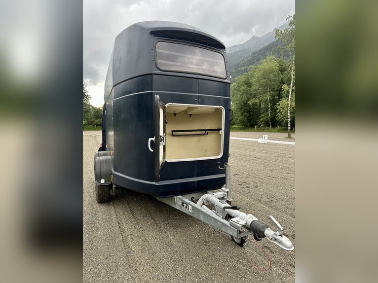 Remorque pour chevaux Westfalia Jupiter de premier choix – entièrement révisée, NOUVEAU plancher et