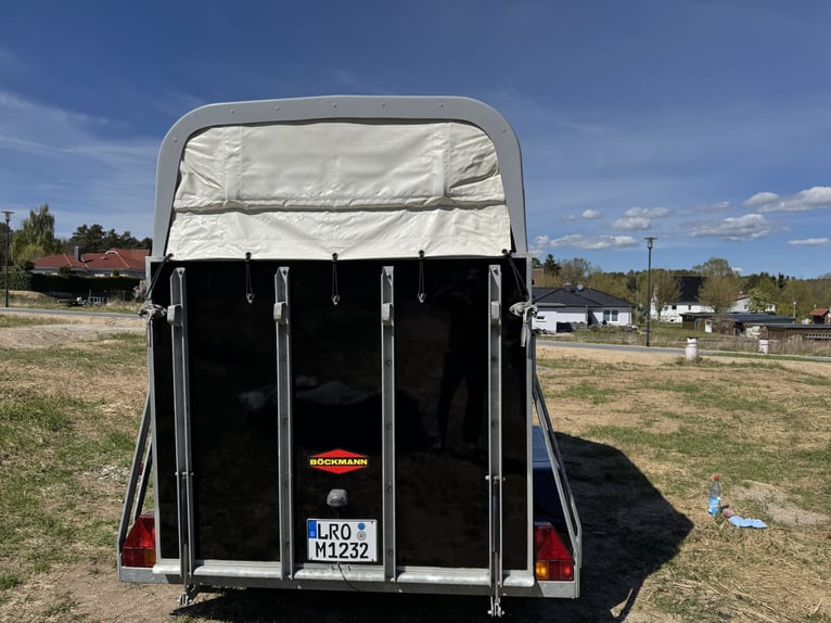 Remorque pour deux chevaux en excellent état à vendre