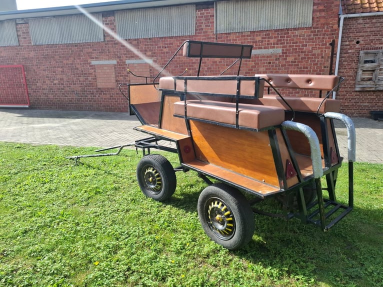 Carrosse avec rênes assorties