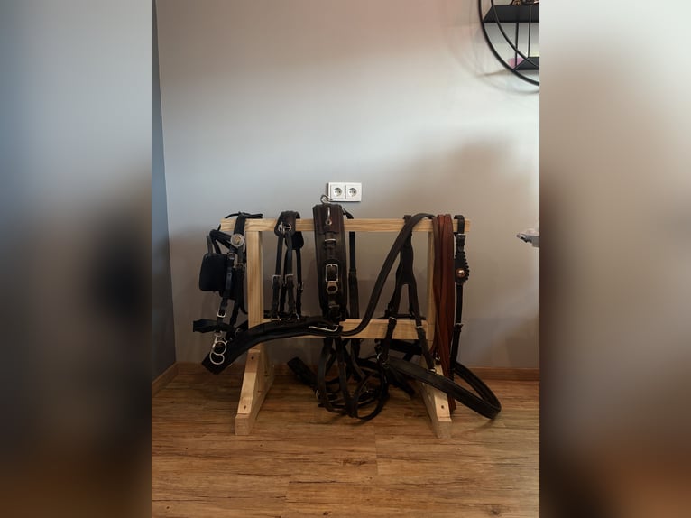 Harnais de calèche Hermanos Gomez, harnais pour attelage simple