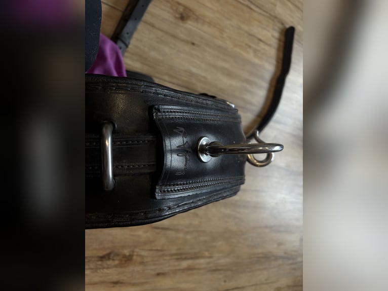 Harnais de calèche Hermanos Gomez, harnais pour attelage simple