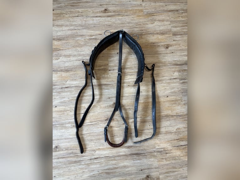 Harnais de calèche Hermanos Gomez, harnais pour attelage simple