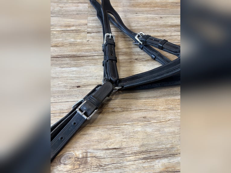 Harnais de calèche Hermanos Gomez, harnais pour attelage simple