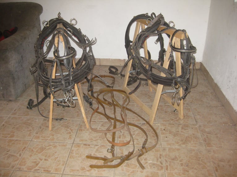 harnais pour attelage double pour Shetland (1,10 m)