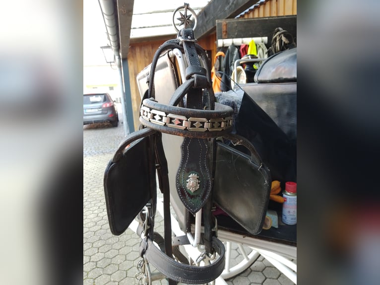 harnais pour paire de chevaux