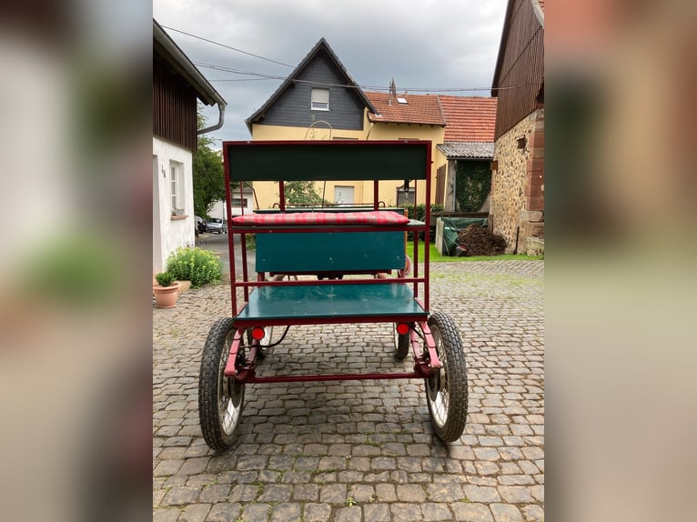 Calèche de loisir