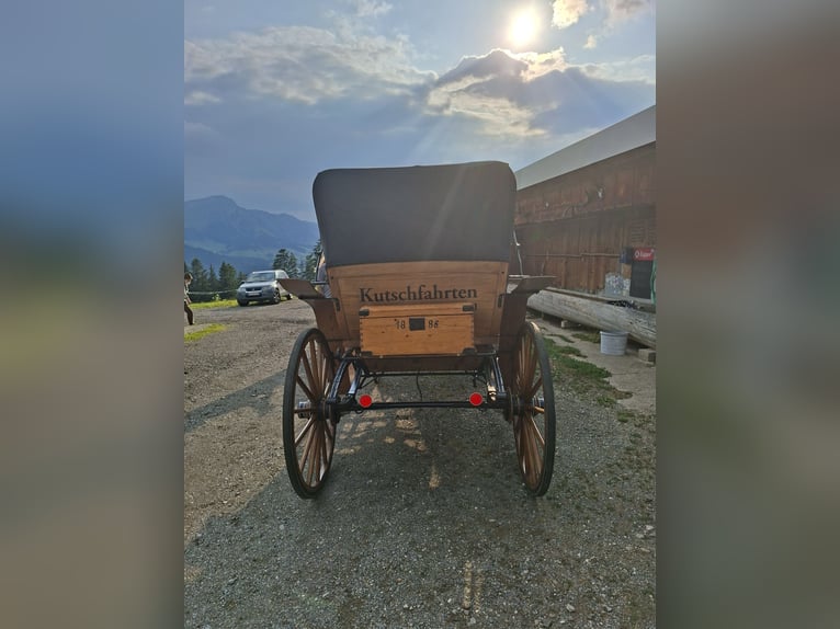 Calèche pour chevaux
