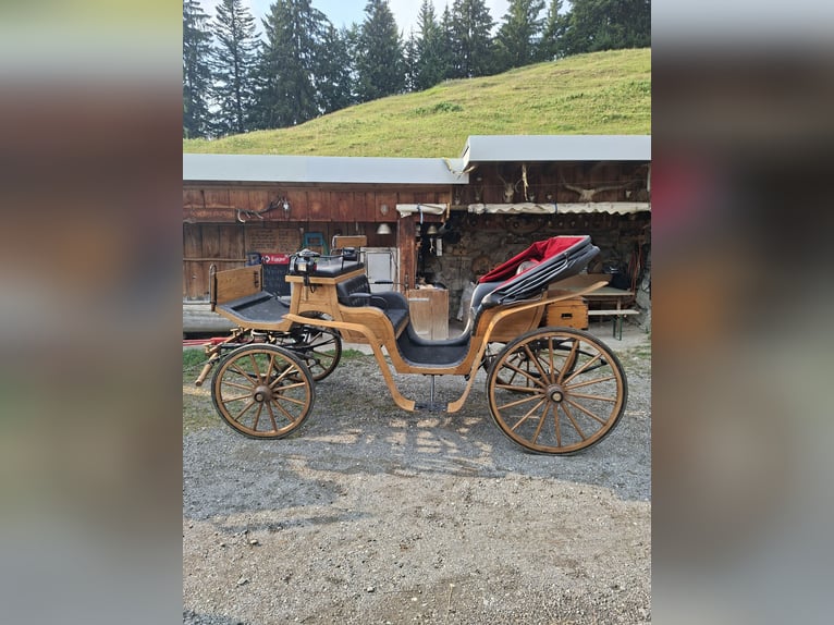 Calèche pour chevaux