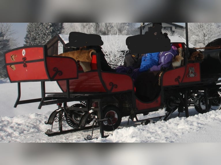 Calèche pour chevaux