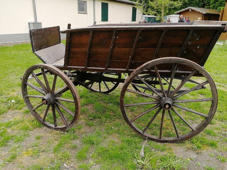Carrosse