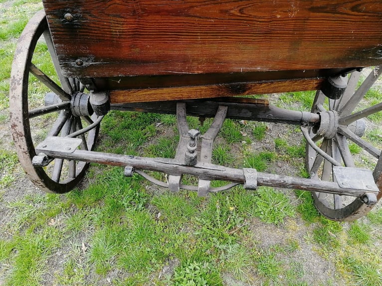 Carrosse