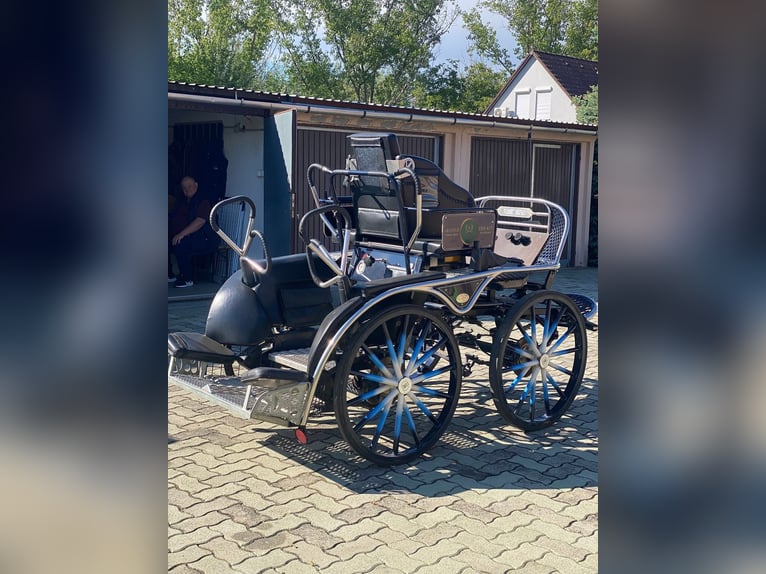 KÜHNLE MARATHON TEAM CARRIAGE