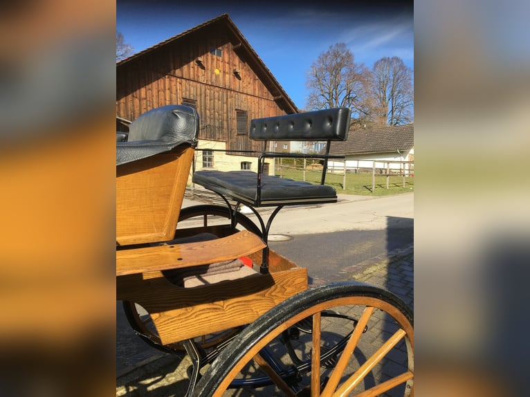Magnifique Spyder Phaeton à vendre en raison de manque d'espace