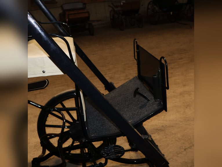 Mylord Kutsche Ein/Zweispänner Scheibenbremsen Trittbrett Schwarz