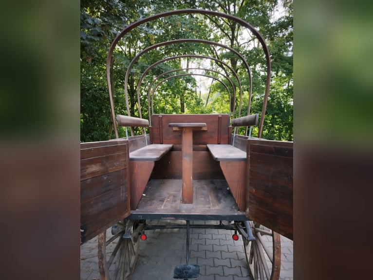 Planwagen Zweispännerkutsche Planwagen Zweispännerkutsche