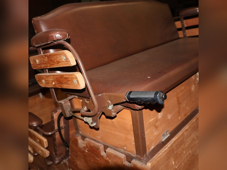 Sawa Freizeitwagen Kutsche Schmid Herdwangen