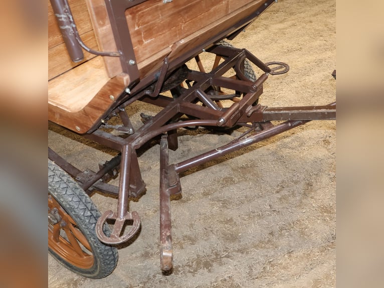 Sawa Freizeitwagen Kutsche Schmid Herdwangen