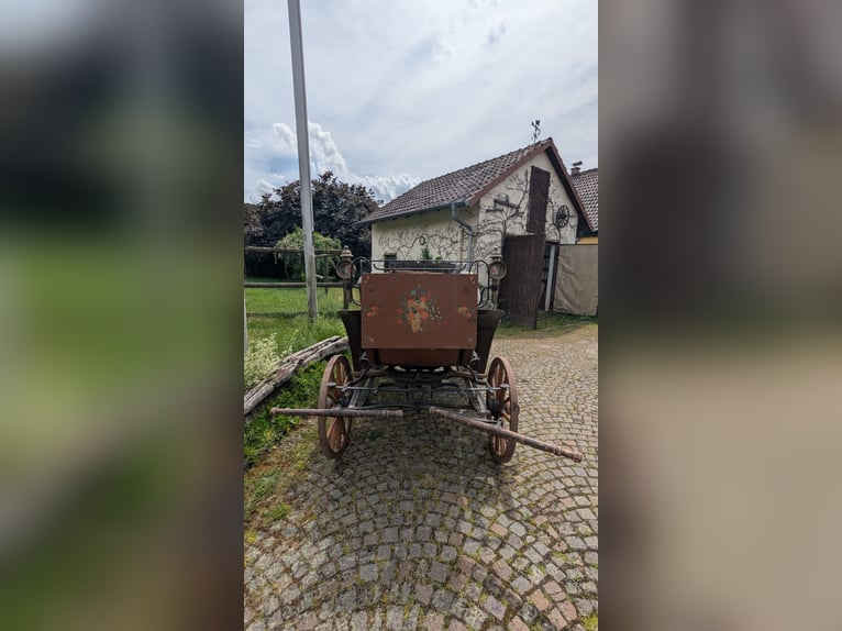 Voiture de chasse