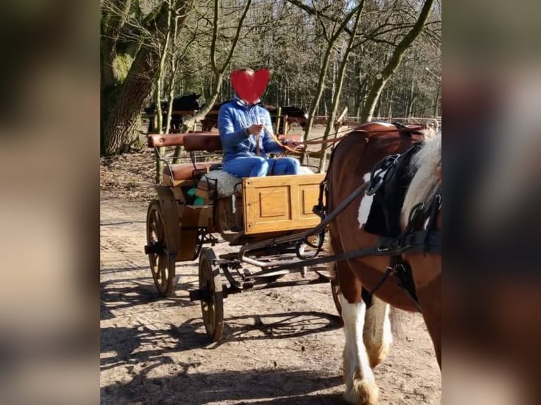 Voiture de chasse