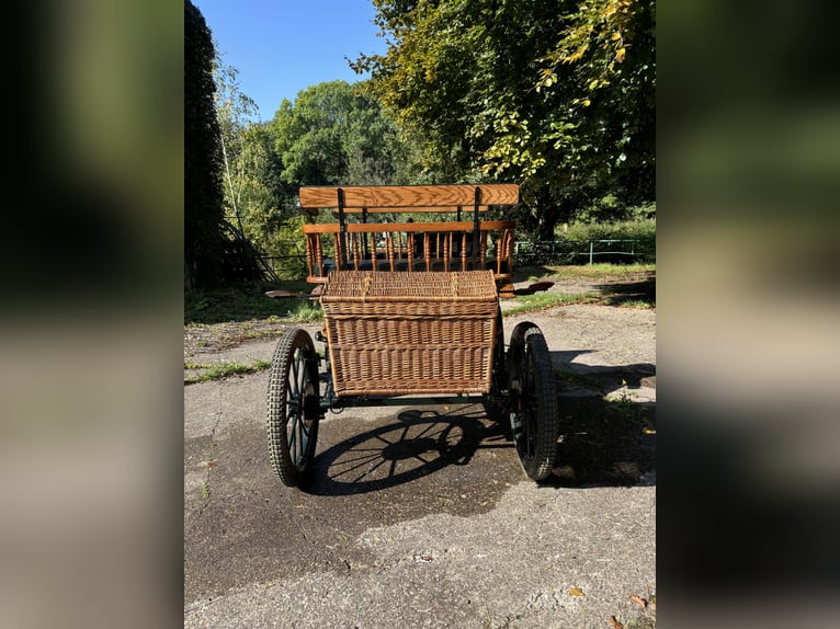 Voiture de chasse
