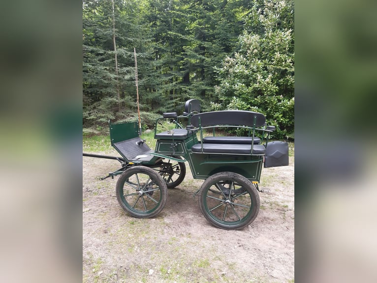 Wagonette carriage