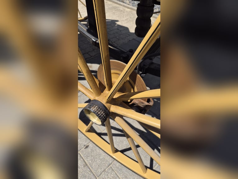 Wagonette pour grands chevaux