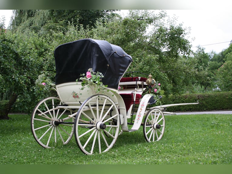 Calèche de mariage élégante, attelée en paire, toit modulable, en bon état