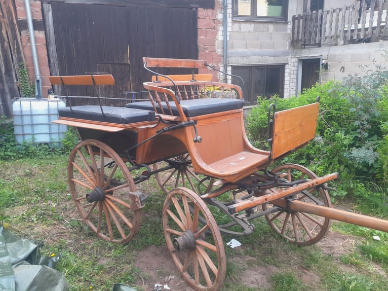 Carriage - Wagonette historique dans son état d'origine