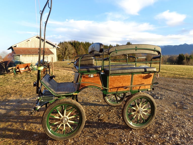 Carrosse pour chevaux, véritable œuvre d'art, presque comme neuf