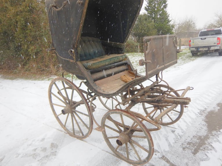 Doctorwagen – Calèche historique