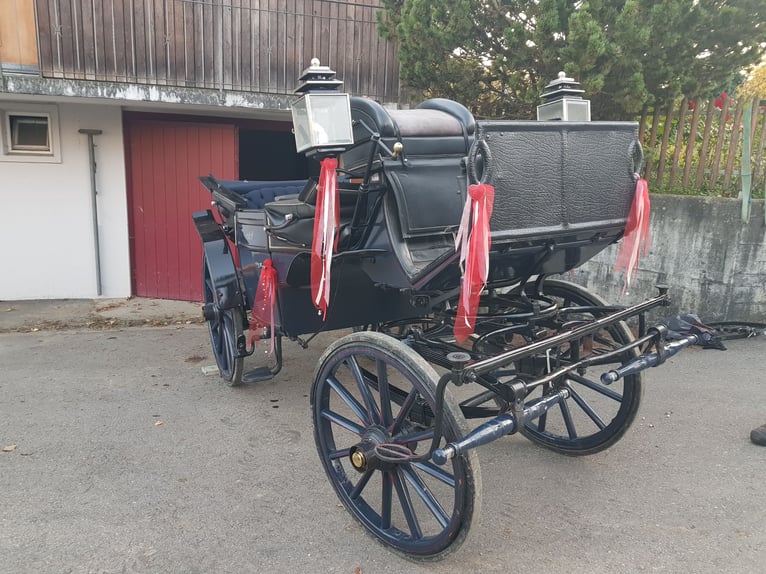 Landauer Landauer