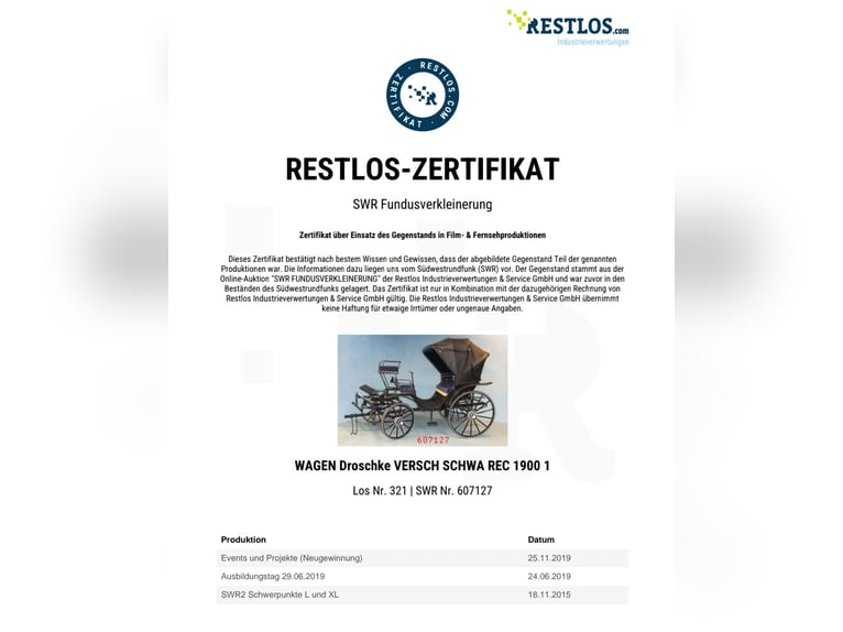 Viktoria Kutsche 1895 