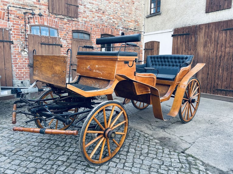 Voiture de promenade de rêve – 6 places, cuir et velours