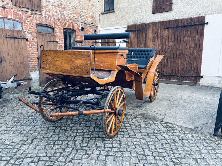 Voiture hippomobile haut de gamme pour six personnes, en cuir et velours, calèche