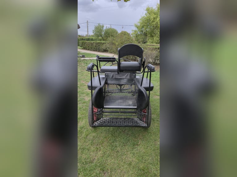 Horse carriage Kutsche