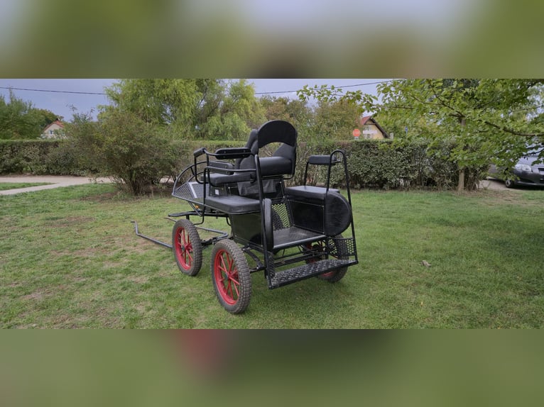 Horse carriage Kutsche